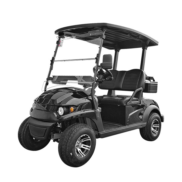 Električni sprejemni avtomobil