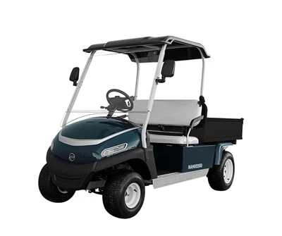 Golf voziček z visoko močjo