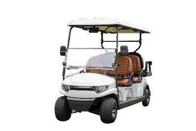 Tourism Golf Car